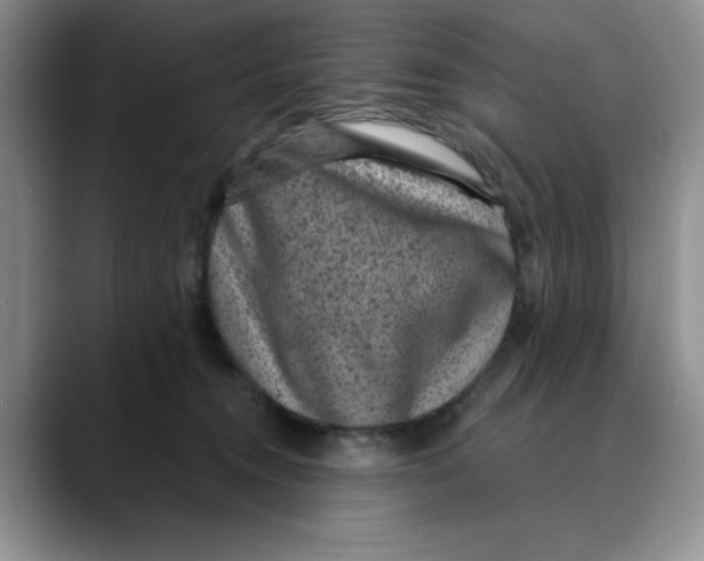 X0000088430372200706121455