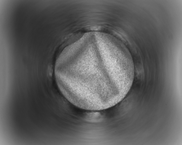 X0000088430374200706121455