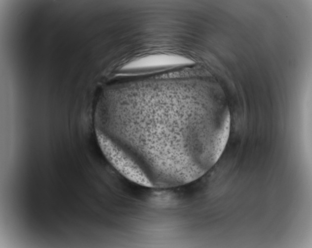 X0000088430376200706121455