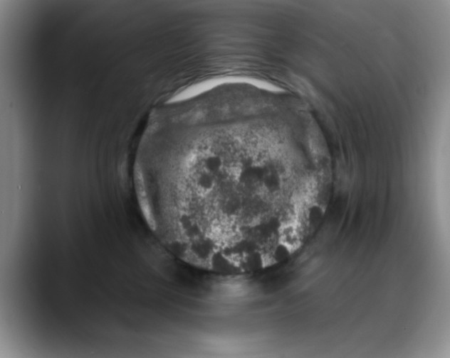 X0000088430377200706121455