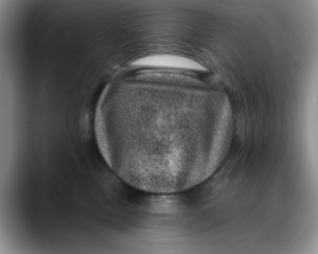 X0000088430378200706121455