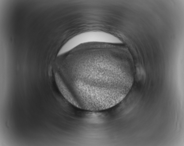 X0000088430379200706121455