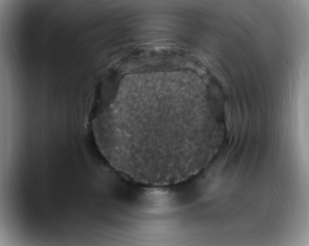 X0000088430380200706121455