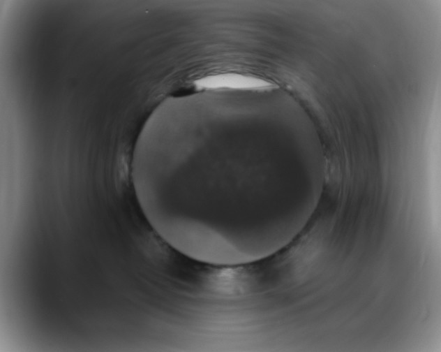 X0000088430382200706121455