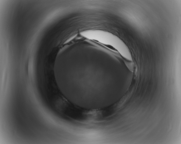 X0000088430383200706121455