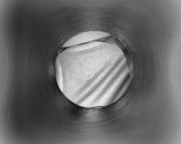 X0000088430384200706121455