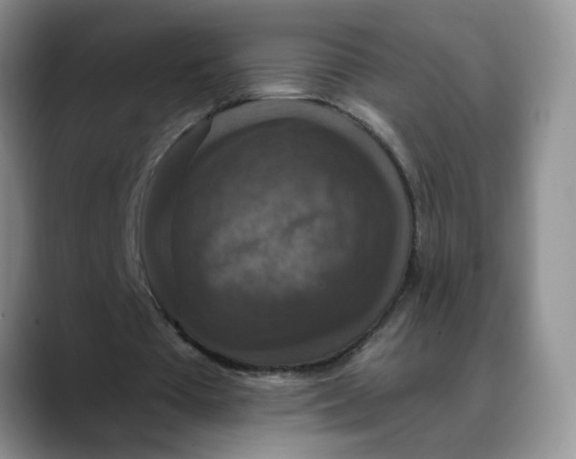 X0000088430385200706121454