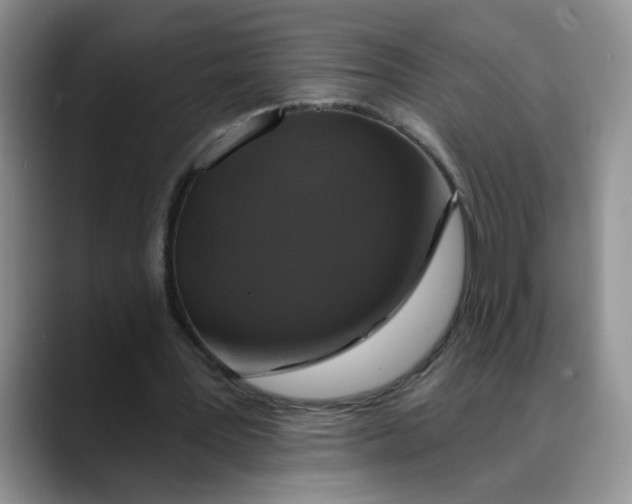 X0000088430387200706121454