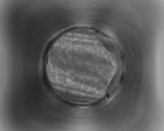 X0000088430388200706121454