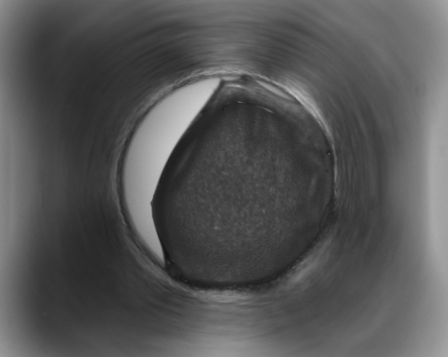 X0000088430389200706121454