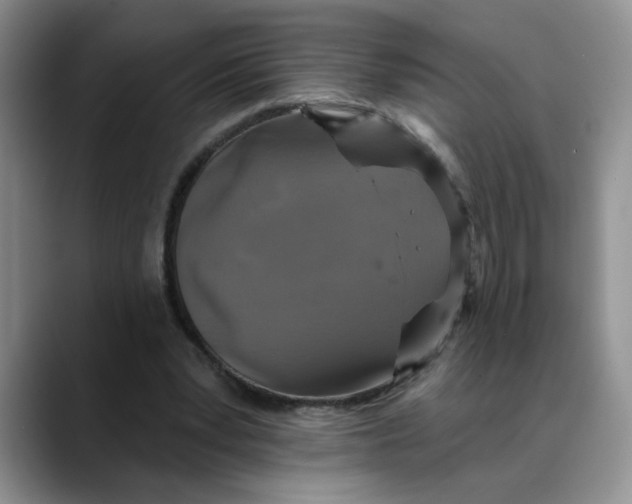 X0000088430391200706121454