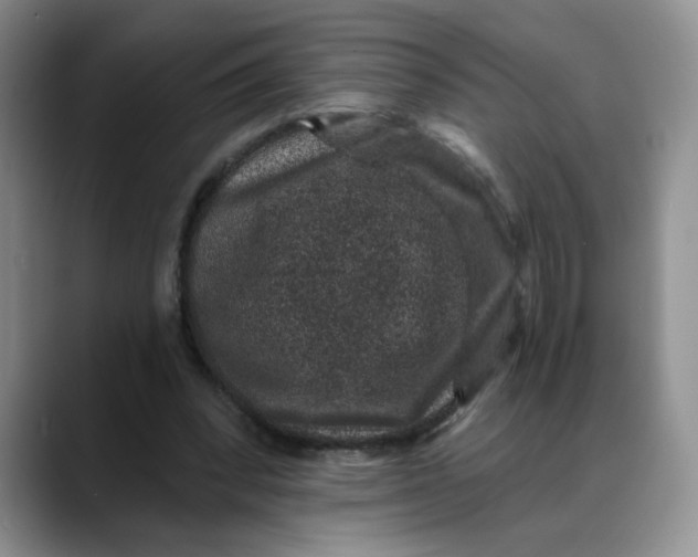 X0000088430392200706121454