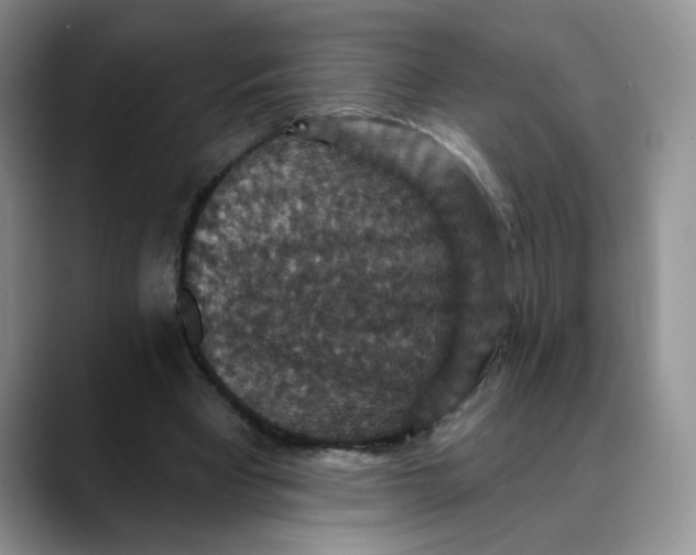 X0000088430393200706121454