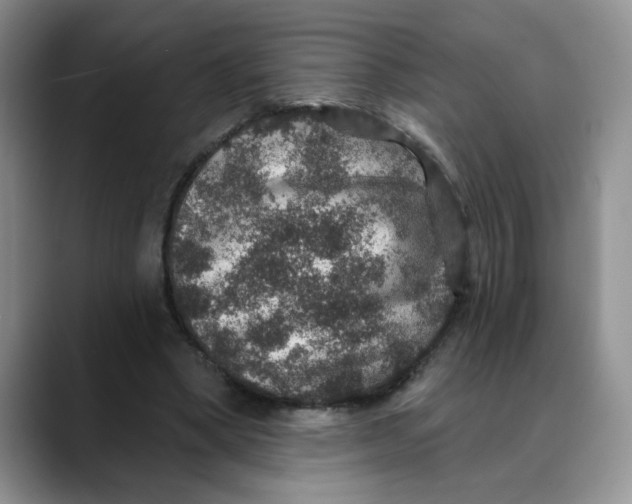 X0000088430394200706121454