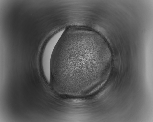 X0000088430395200706121454