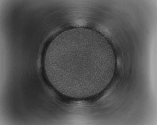 X0000088430396200706121454