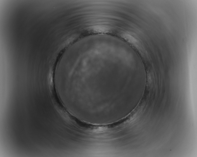 X0000088430398200706121454