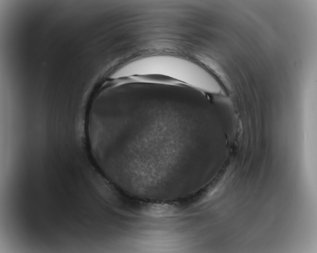 X0000088430399200706121454