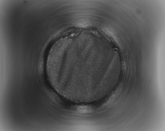 X0000088430400200706121454