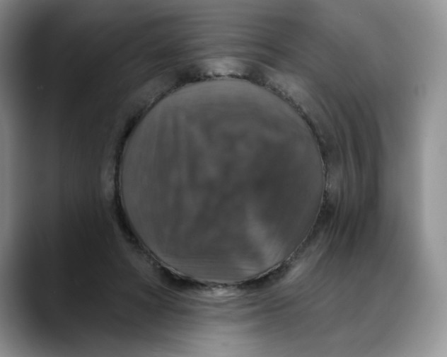 X0000088430402200706121454