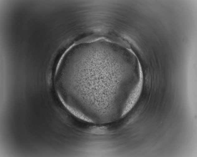 X0000088430403200706121454