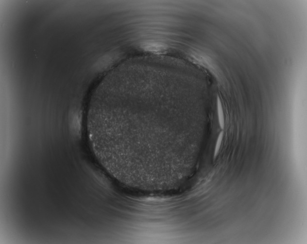 X0000088430404200706121454