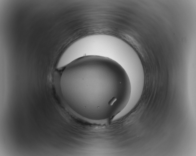 X0000088430405200706121454