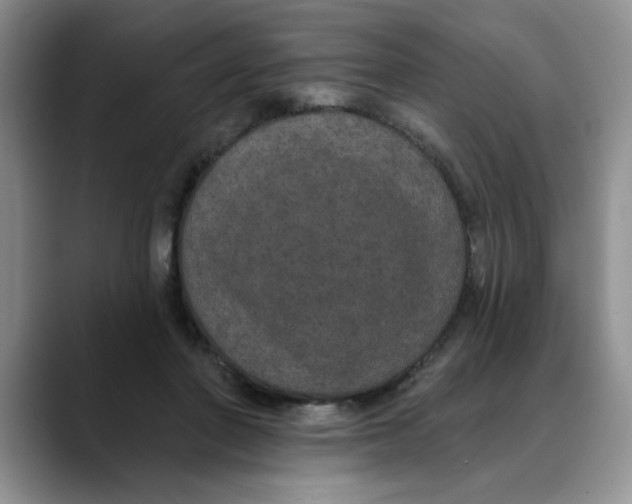 X0000088430406200706121454