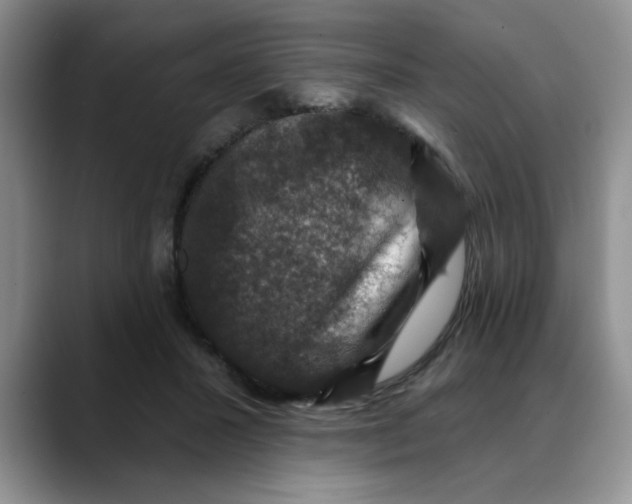 X0000088430407200706121454