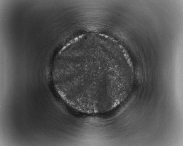 X0000088430408200706121454