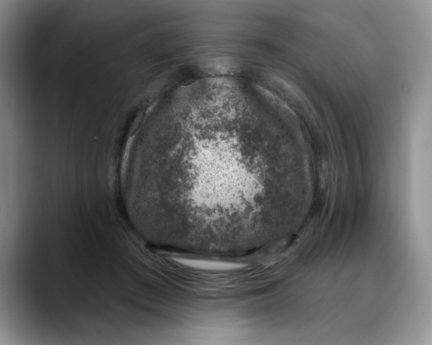 X0000088430409200706121454