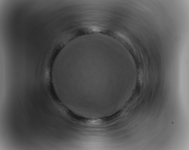 X0000088430410200706121454