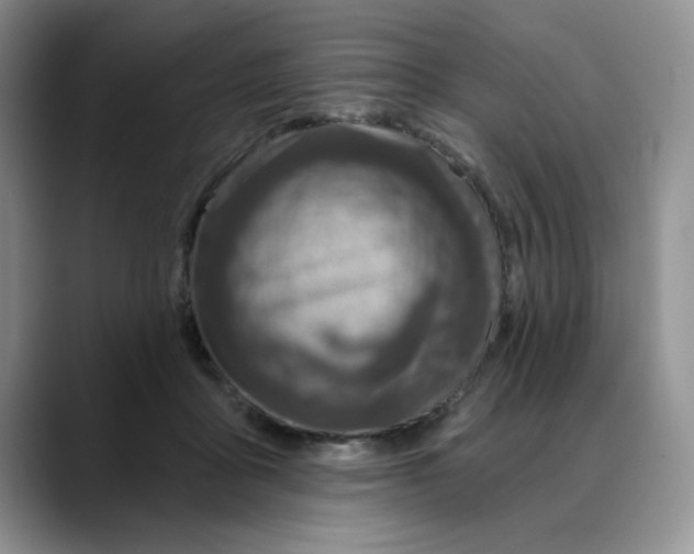 X0000088430411200706121454