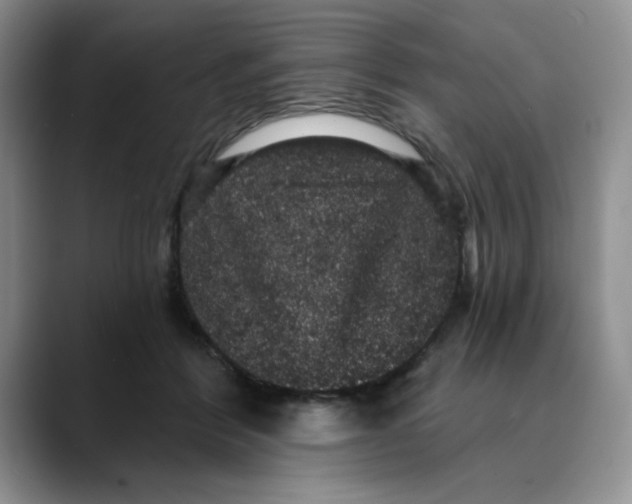 X0000088430412200706121454