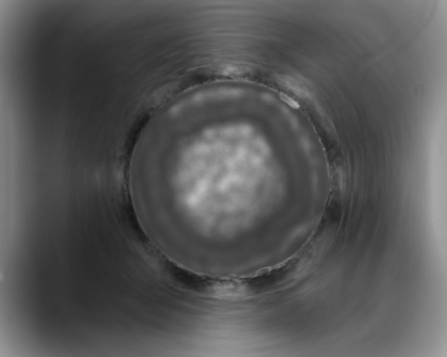 X0000088430415200706121454