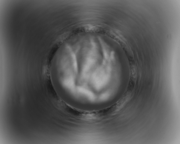 X0000088430419200706121454