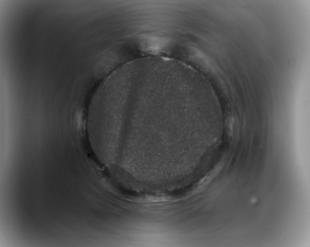 X0000088430420200706121454