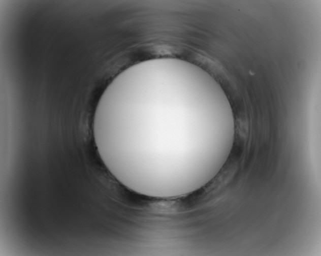 X0000088430422200706121454