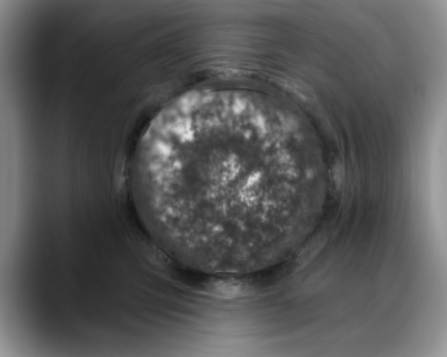 X0000088430423200706121454