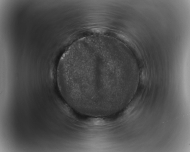 X0000088430424200706121454