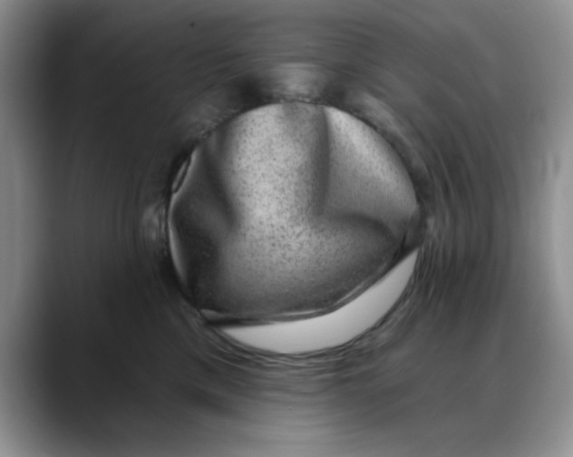 X0000088430425200706121454