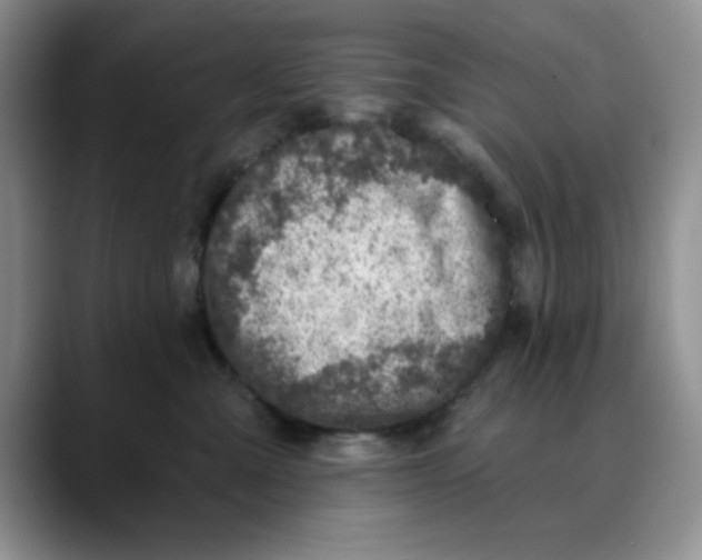 X0000088430427200706121454