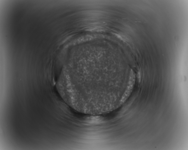 X0000088430428200706121454