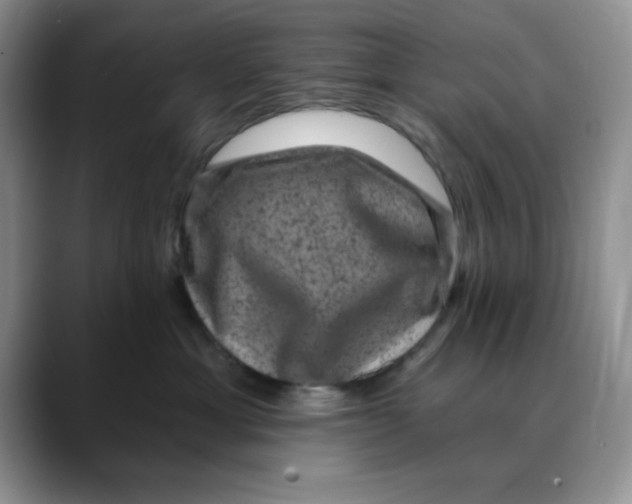 X0000088430429200706121454