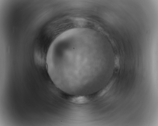 X0000088430431200706121454