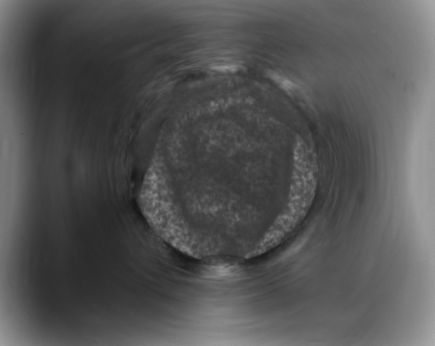 X0000088430432200706121454