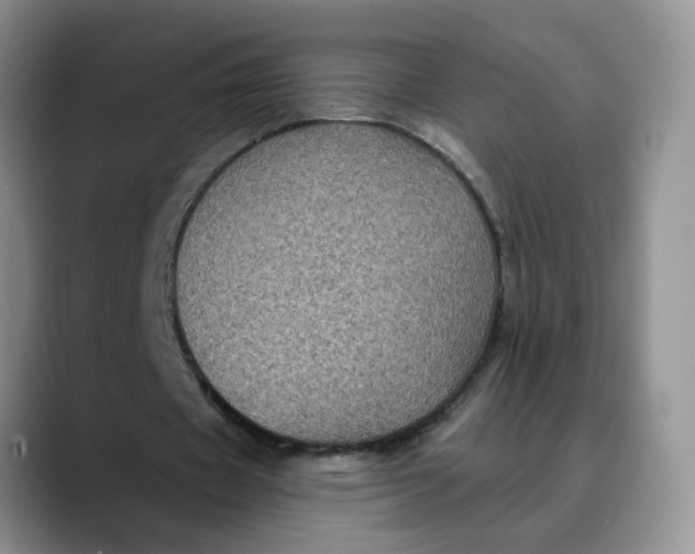 X0000088430433200706121453