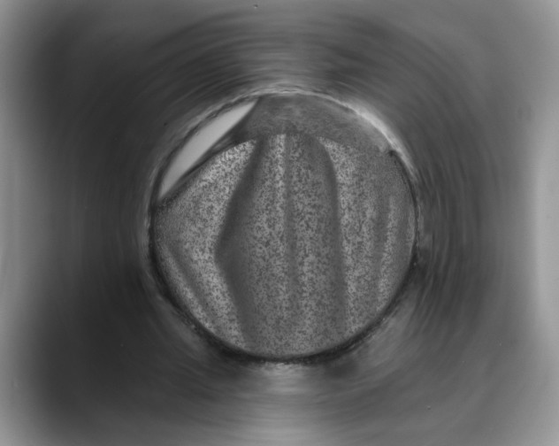 X0000088430437200706121453