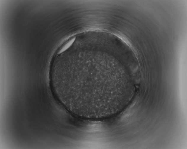 X0000088430438200706121453