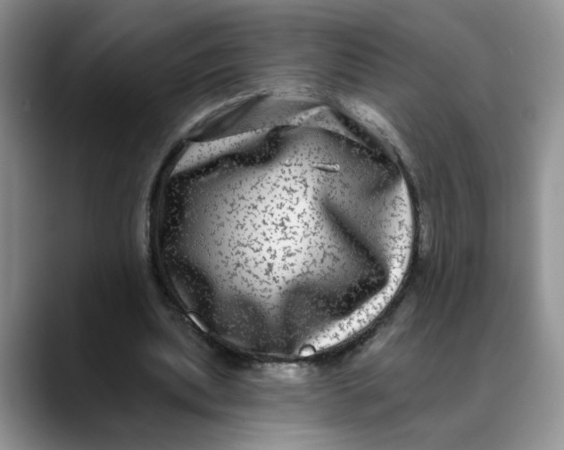 X0000088430439200706121453